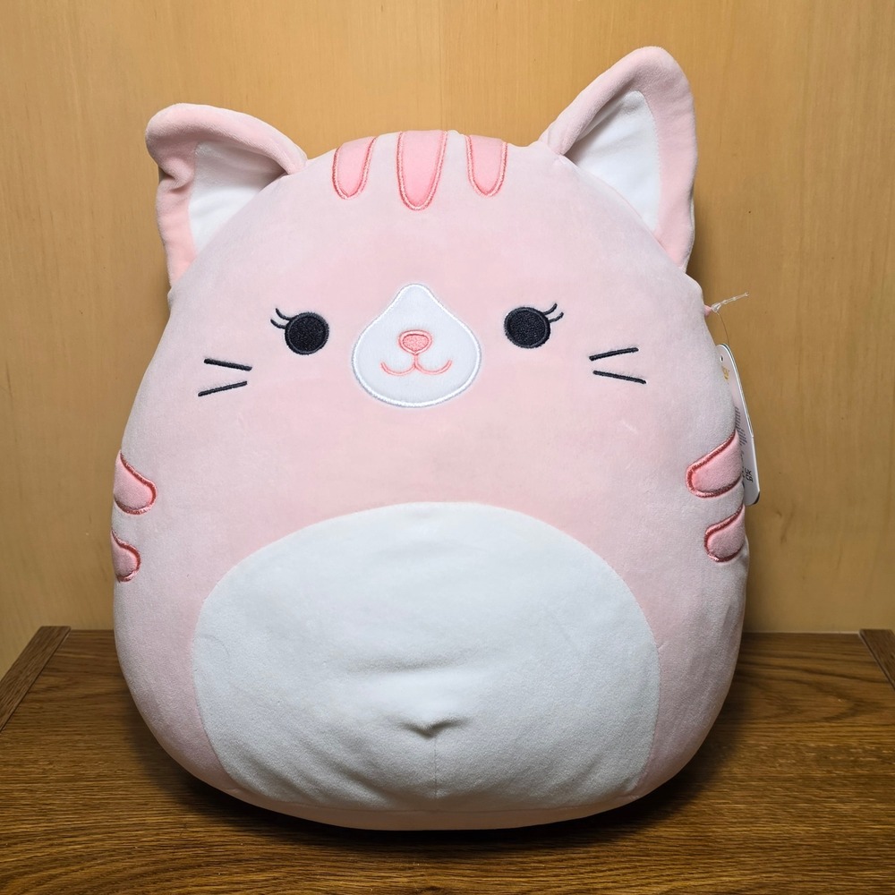 Squishmallows Laura Pink Tabby Cat 12" Plush #536-2 With Tags Very Good *